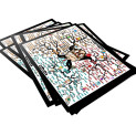Emotional Mastery Bundle