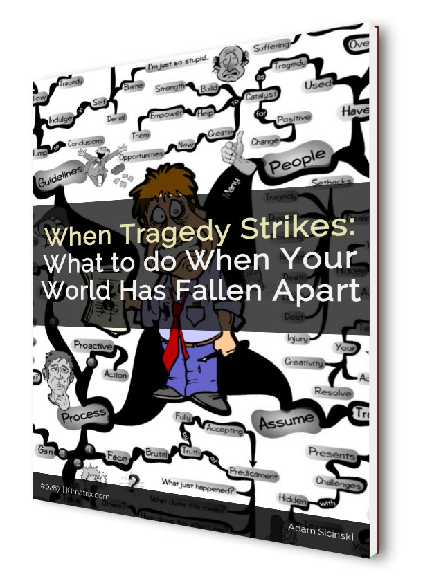 When Tragedy Strikes eBook